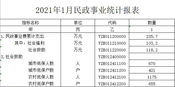 （20210528）2021年1月民政事业统计报表.png