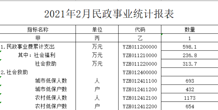 （20210528））2021年2月民政事业统计报表.png