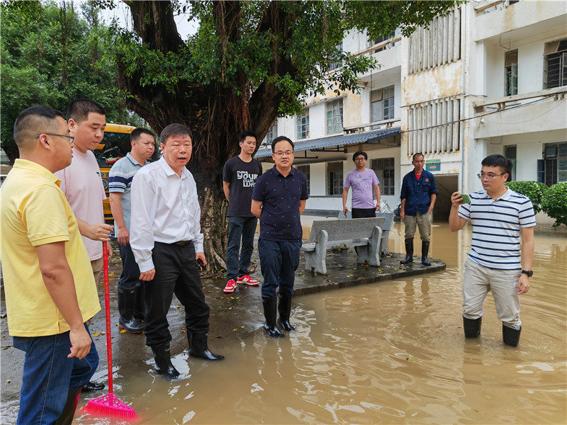 区委书记张广晖视察灾情.jpg
