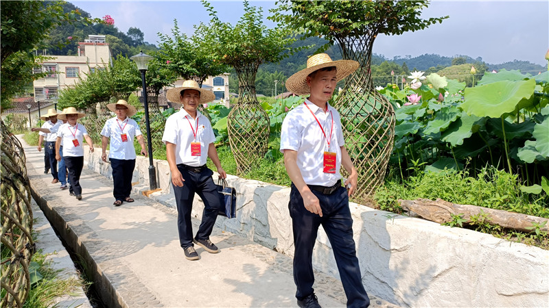 代表视察梦里荷乡—荷花田.jpg