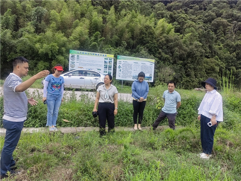 调研江湾镇天冬创业基地.jpg