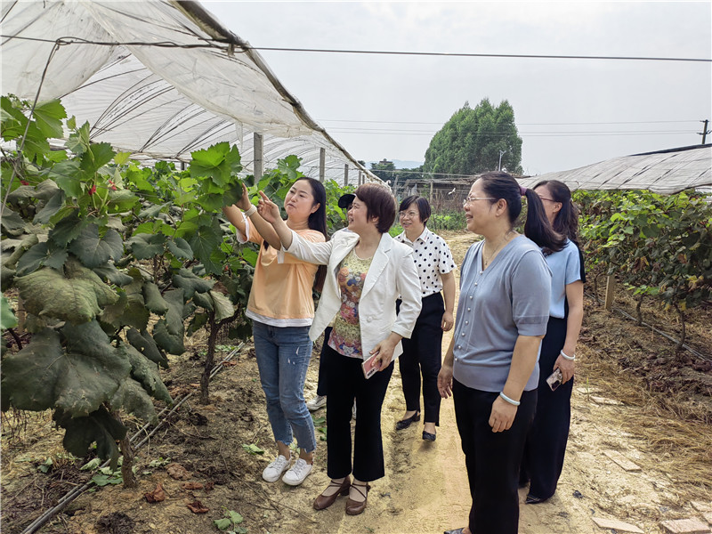 调研巾帼创业基地 (2).jpg
