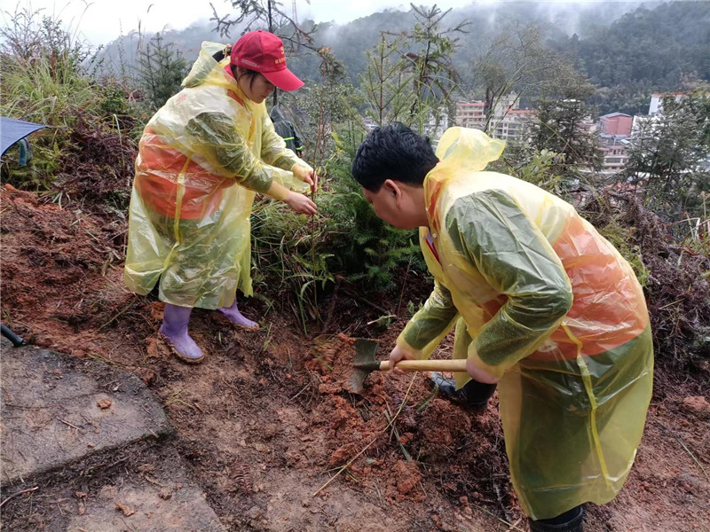 植树现场 (2).jpg