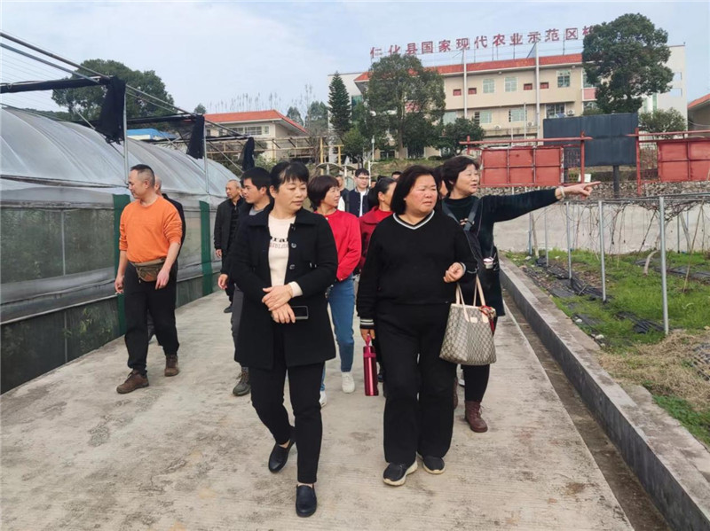 图片2.jpg