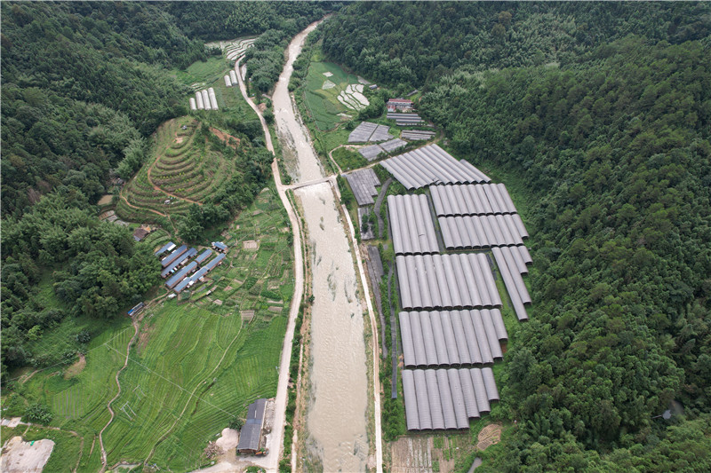 江湾石斛产业基地.jpg