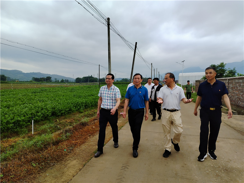 图为人大机关党员干部参观番灵千亩有机蔬菜基地.jpg