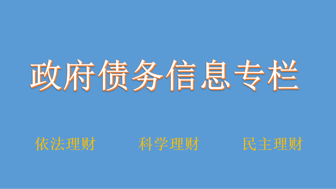 政府债务信息专栏