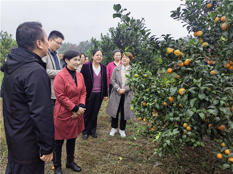 调研组实地走访西河镇什石园老侯家庭农场.jpg