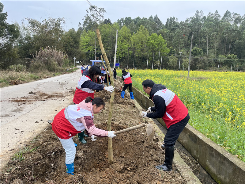 植树活动现场2.jpg