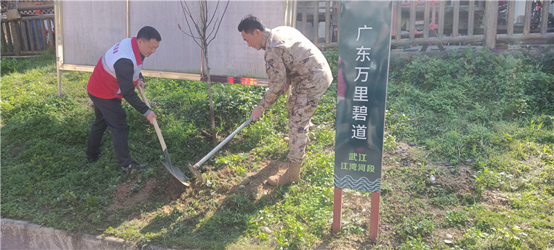 江湾镇主要领导与江湾镇武装部部长共同义务植树.jpg