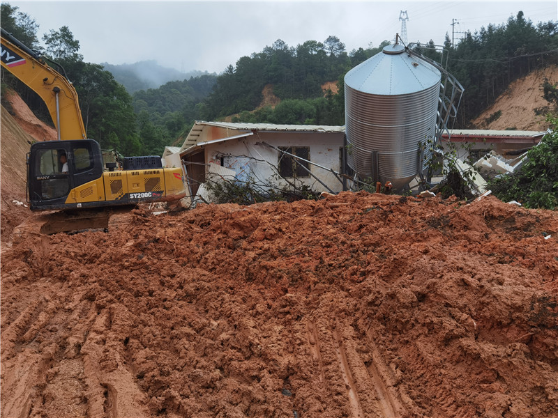 清理通往养猪场的道路（2）.jpg