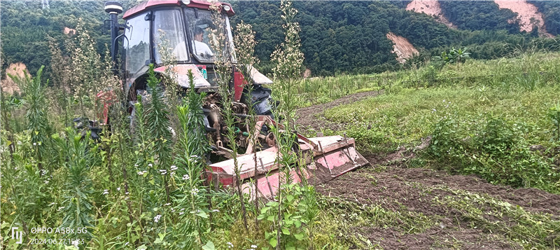百合种植基地开始打地 (1).jpg