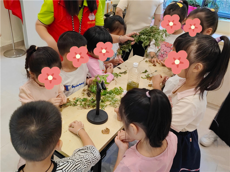 现场制作驱虫膏.jpg
