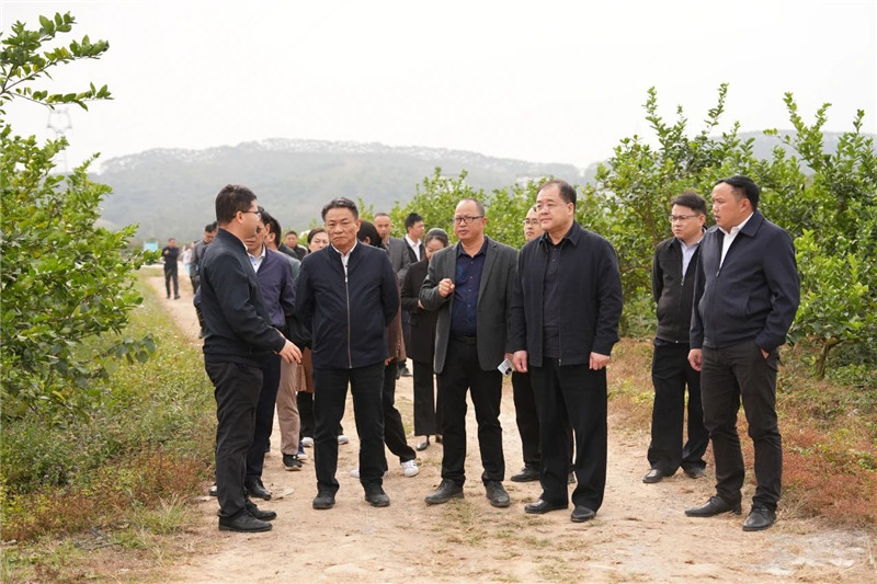 微信图片_20241209130646.jpg