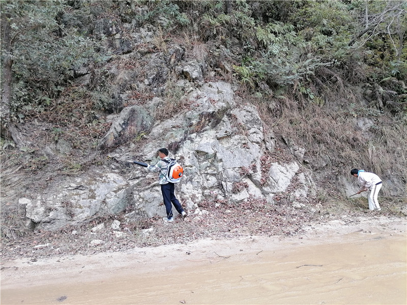 清理沿路干草、落叶等可燃物.jpg