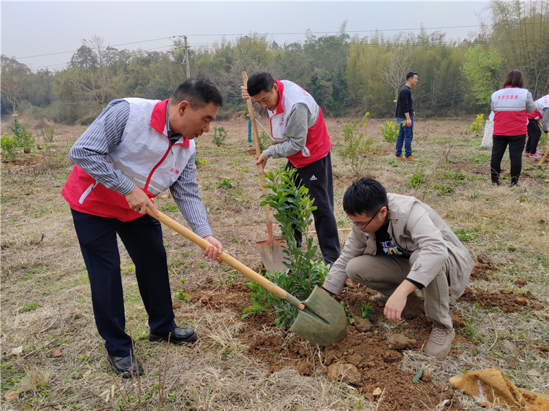 植树现场1.jpg