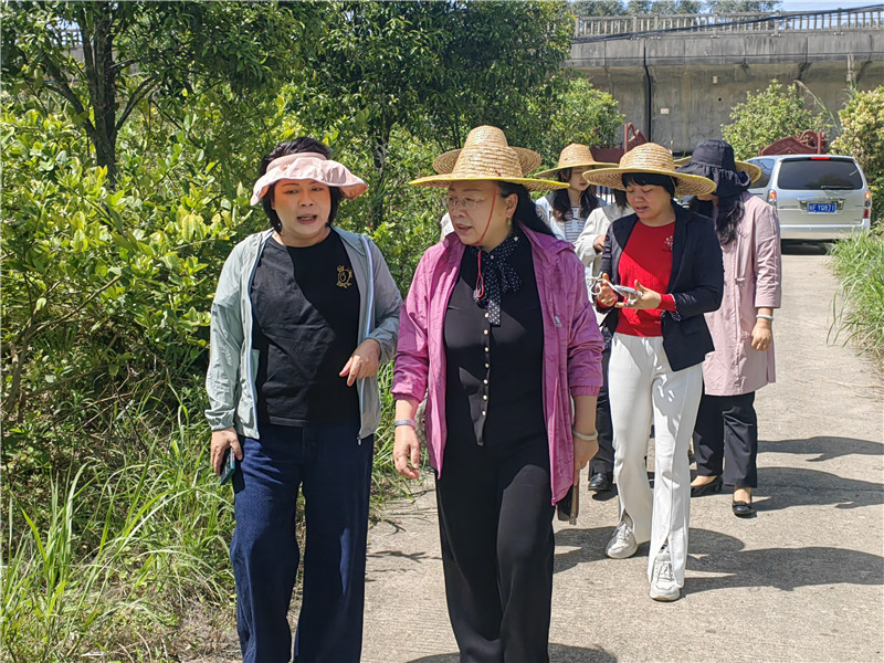 参观山蕉村种养基地.jpg