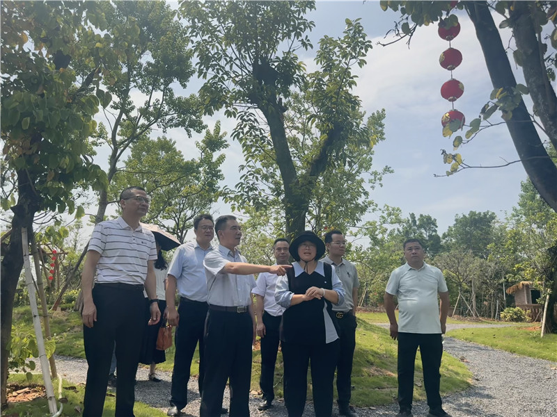 区人大主任到武江产业花卉园调研.jpg