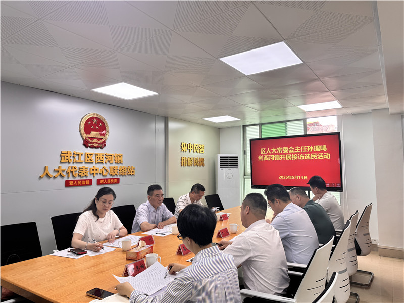 区人大主任孙理鸣到镇中心联络站接访群众-2.jpg