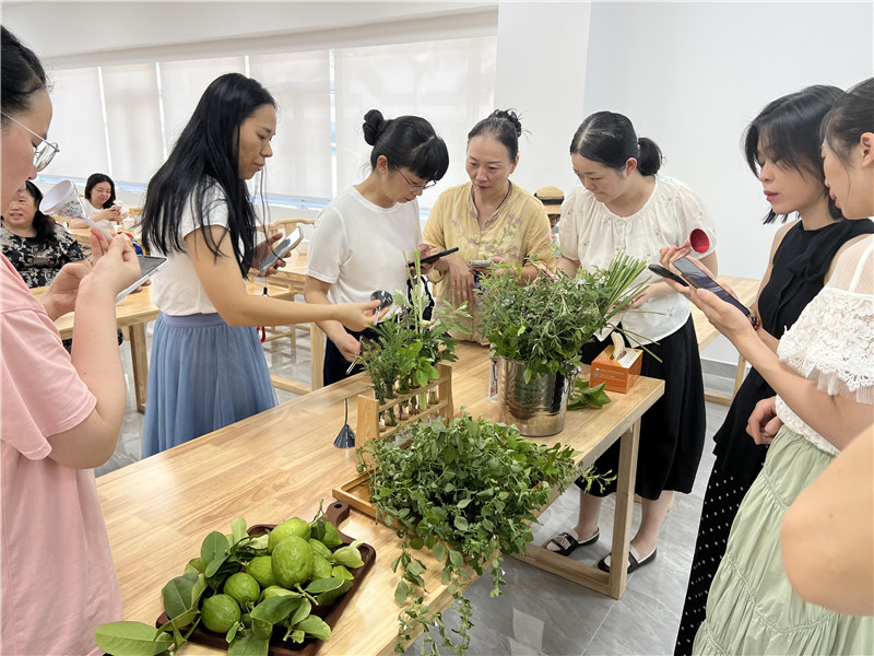 职工们在分辨各色花草的气味和功效.jpg