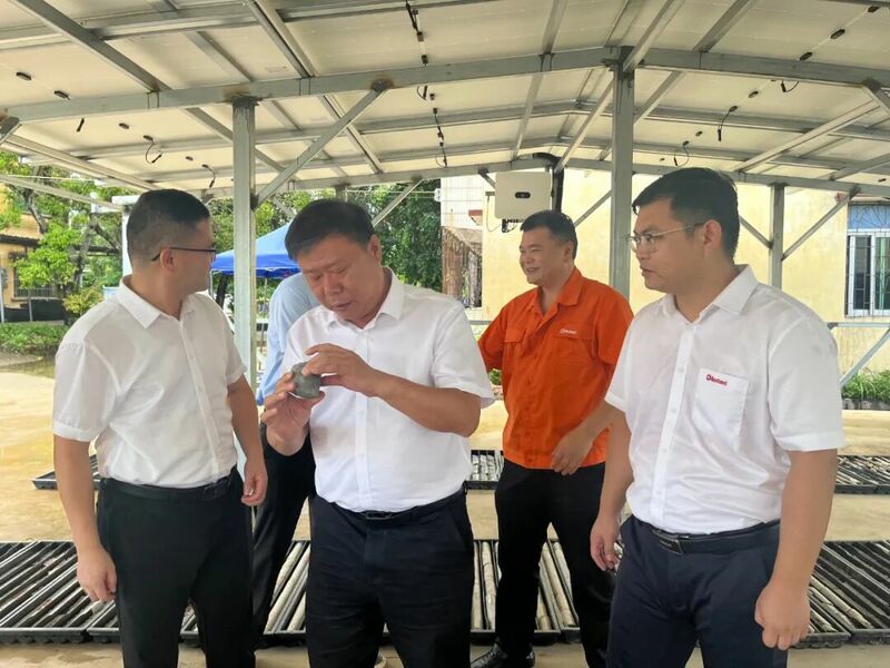 咱家有“矿”！武江区万侯多金属矿勘查项目取得重大成果