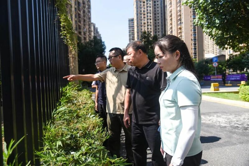 区委书记张广晖带队检查督导基孔肯雅热疫情防控工作