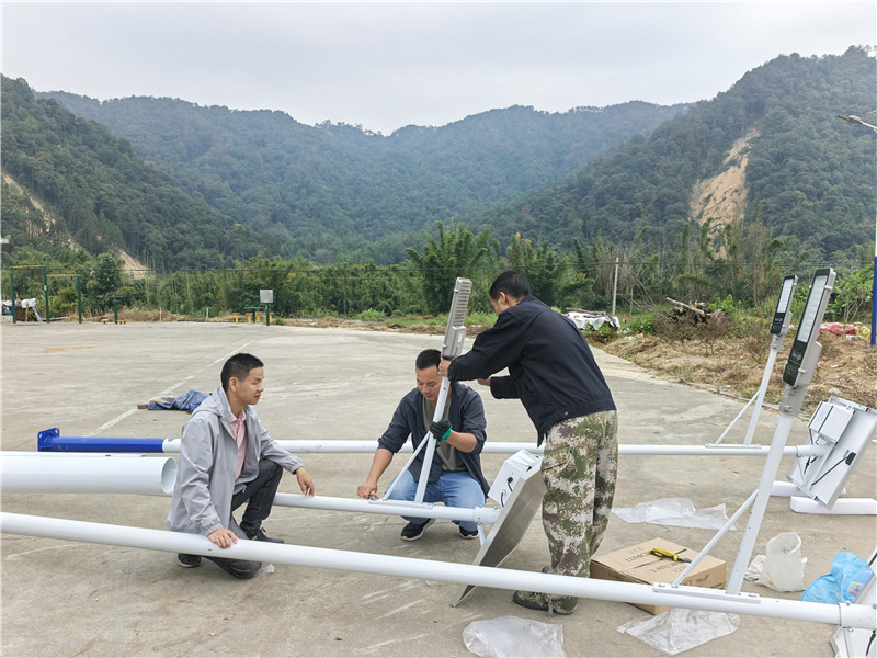 驻村第一书记和工人一同安装路灯1.jpg