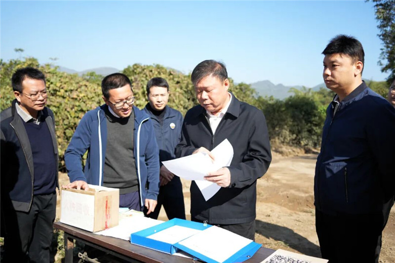 区委书记张广晖深入调研督导辖区森林防灭火及“五清”工作