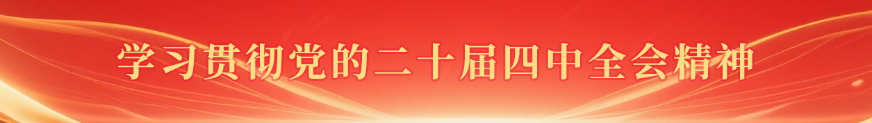 学习贯彻党的二十届四中全会精神