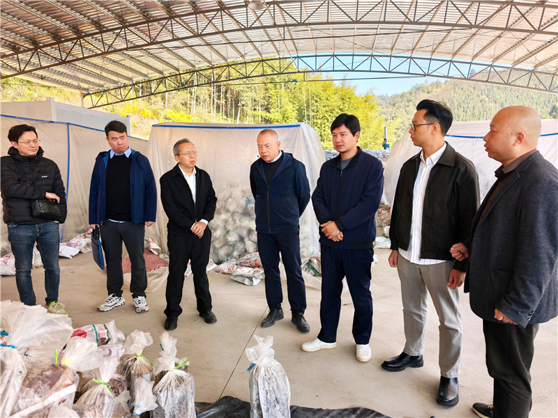 图2-考察灵芝菌包培育基地.jpg