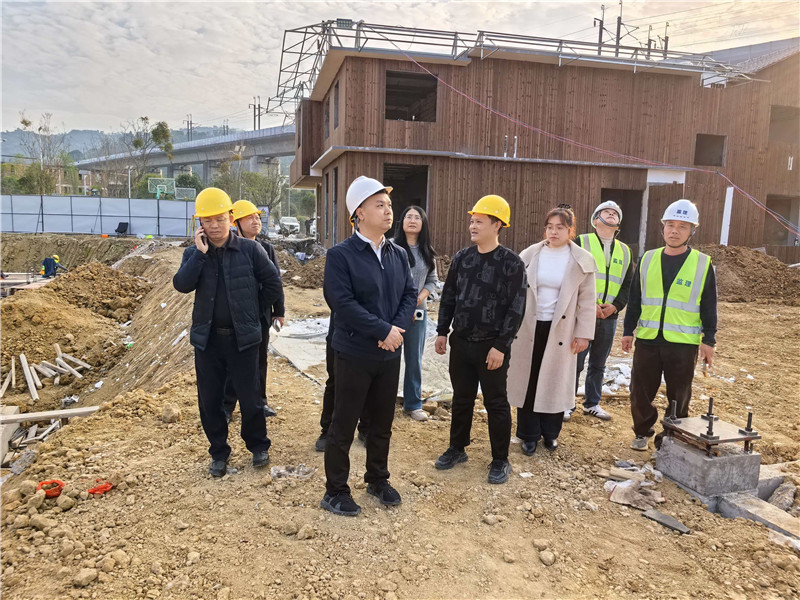 谢佳区长到项目现场跟进.jpg