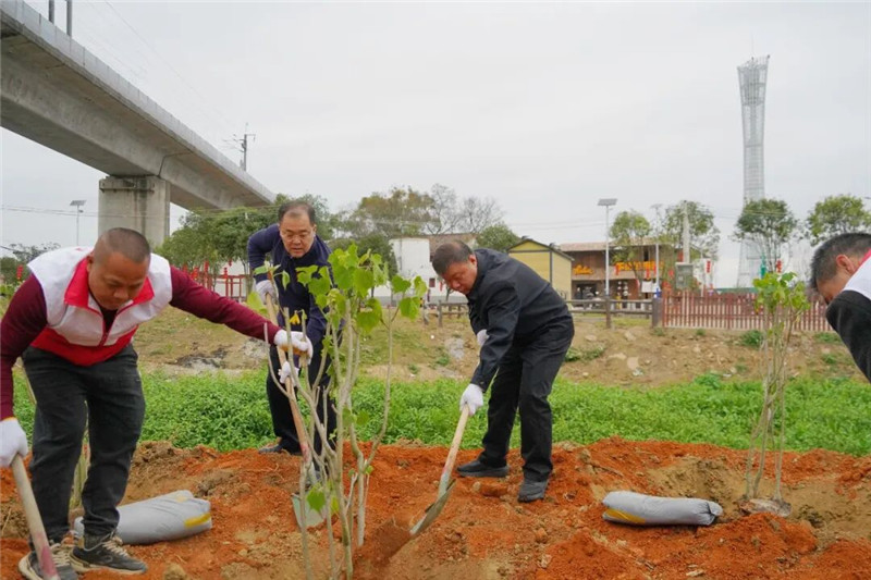 从植树增绿到地标焕新：武江区新春首日活动聚焦下坑村“实景画”