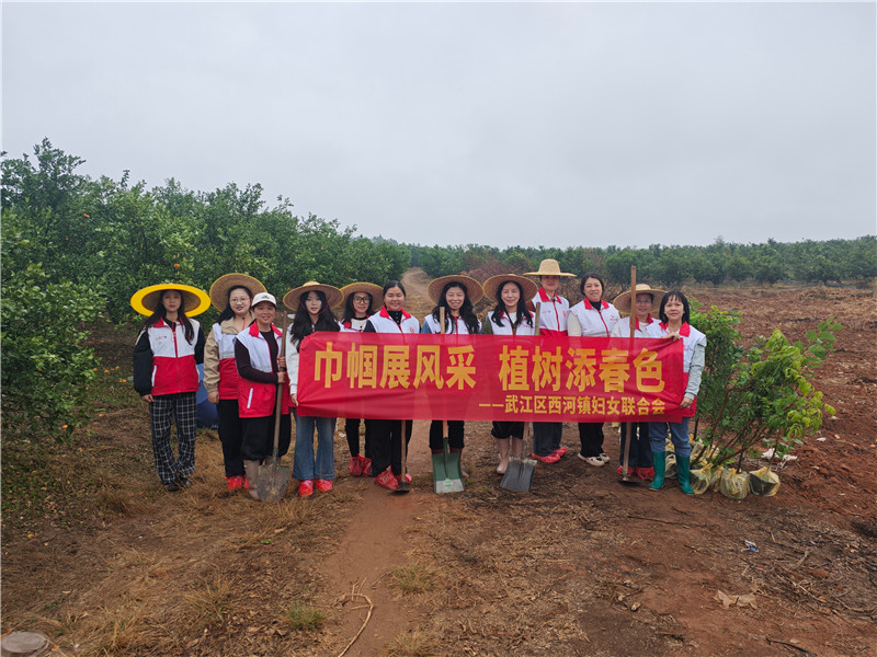 西河镇妇联女同志们植树活动现场 (2).jpg