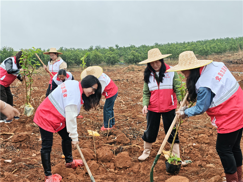 西河镇妇联女同志们植树活动现场.jpg