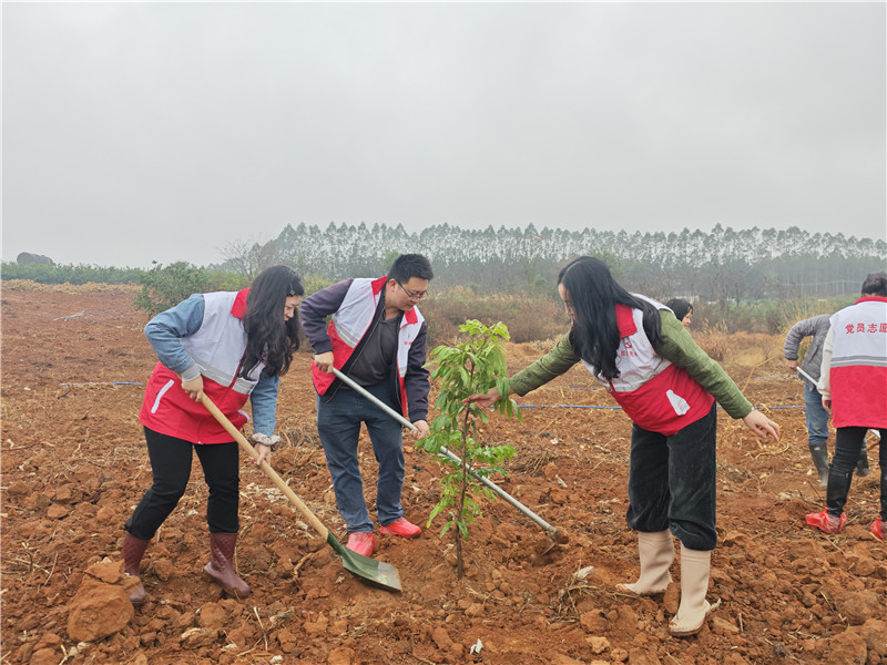 西河镇红星社区与什石园村结对共建植绿护绿活动现场 (2).jpg