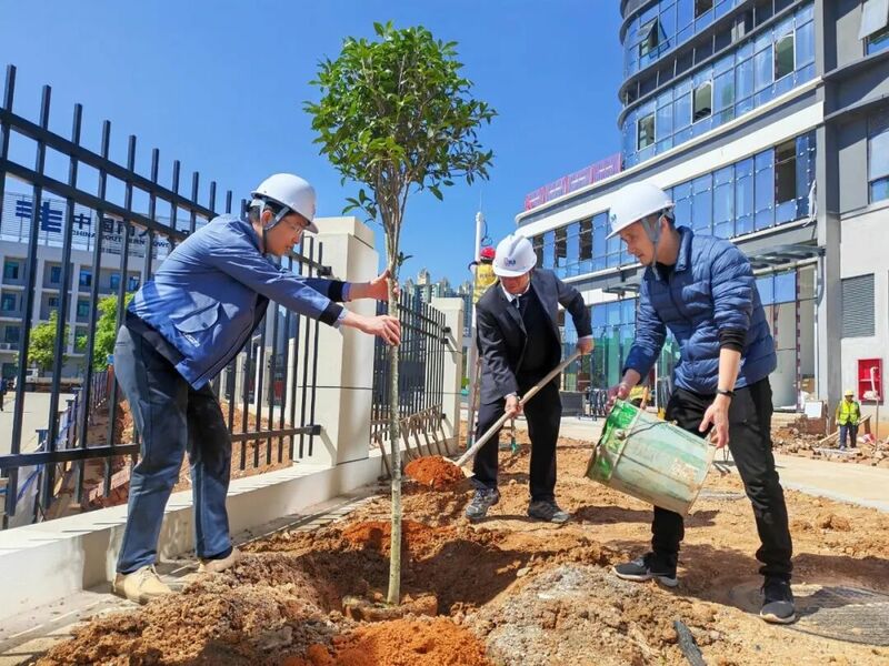 凤武情谊｜植绿助振兴 凤武共添彩