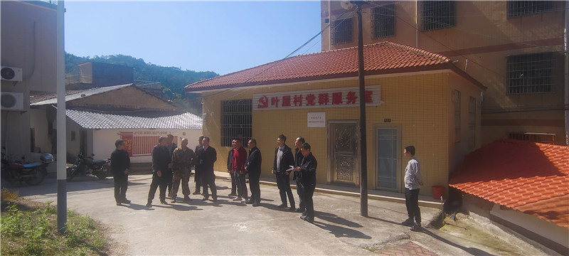 实地踏勘 (2).jpg