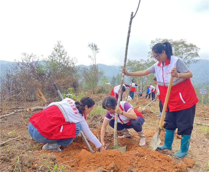 植树现场 (1).jpg