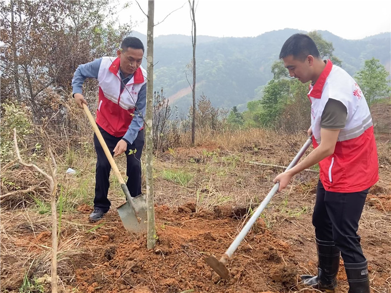 植树现场 (2).jpg