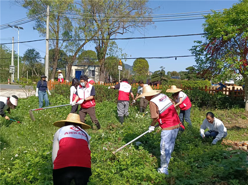 4月1日下午，区财政局与西河镇党员志愿者、邻长等在糖寮村共同开展乡村绿化管护.jpg