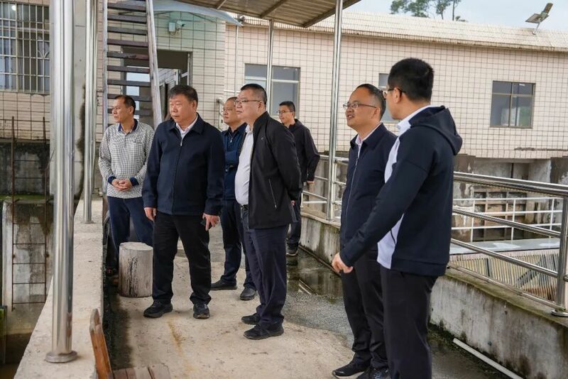 区委书记张广晖到龙归镇调研防汛减灾工作