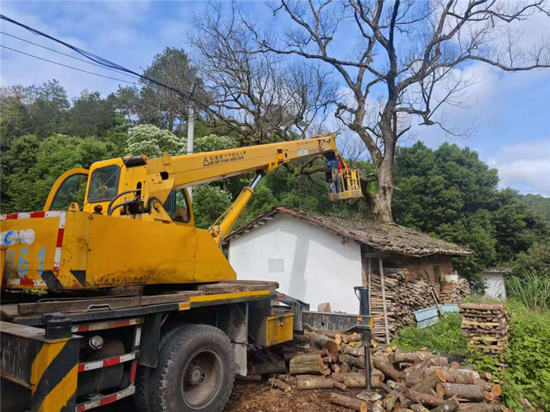 镇属应急部门对河道周边、道路沿线枯树枯竹开展集中清理.jpg
