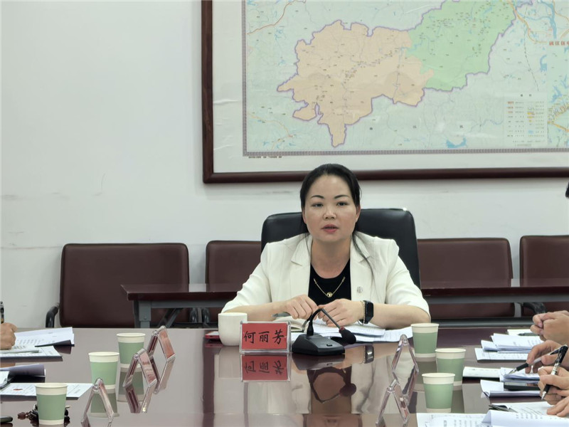 副区长何丽芳讲话.jpg