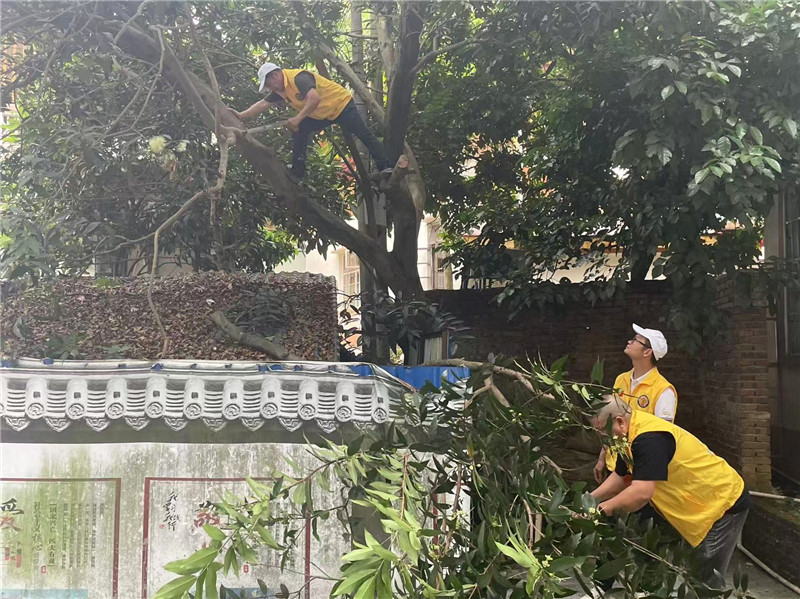 志愿者们投入到修剪树枝环节.jpg