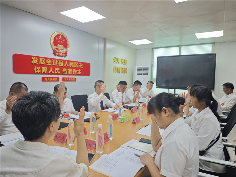 图为西河镇人大代表行使表决权.jpg
