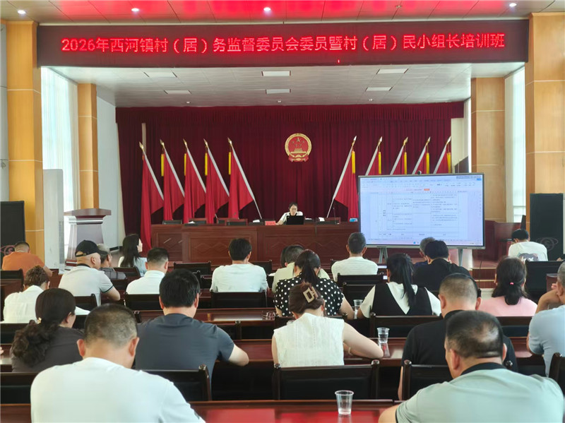 党建和组织人事办主任周姣霞作“四议两公开”业务培训.jpg