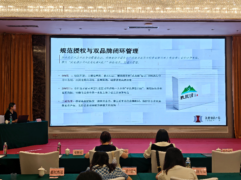 专家讲解品牌规范建议_副本.png