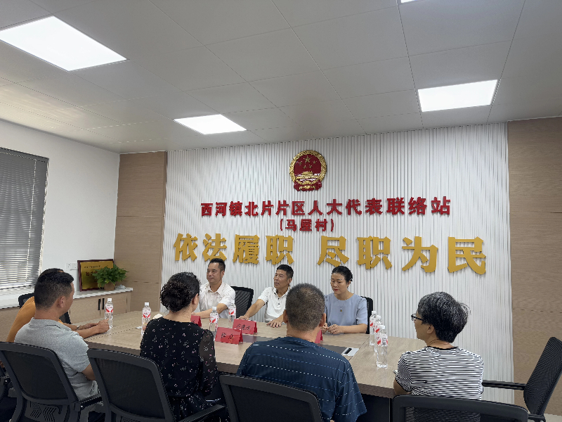 区人大副主任卢建成与代表们接待群众.jpg