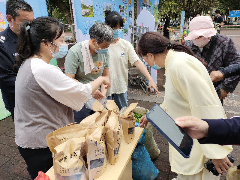 市民抢购龙归镇特色农产品桑芽菜.png